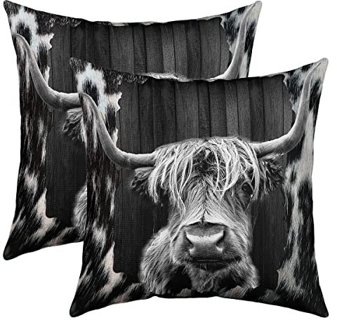 Kinder Hochland Cow Kissenbezüge 60x60cm 2er Set Kissenbezüge Weich Hochland Cattle Kissenbezug Kissenhülle Bauernhaus Tier Dekorative Sofakissen Couchkissen Western Dekor Grau Dekokissens