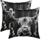 Kinder Hochland Cow Kissenbezüge 60x60cm 2er Set Kissenbezüge Weich Hochland Cattle Kissenbezug Kissenhülle Bauernhaus Tier Dekorative Sofakissen Couchkissen Western Dekor Grau Dekokissens