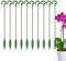 Unterstützung für Gartenpflanzen - 10er Pack Pflanzenstützpfähle - Garten Single Stemed Plant Support Hoops Pflanzenstütze für Blumen, Orchideen, Tomaten, Pfingstrosen, Lilien, Rosen, Gladiolen, Phala