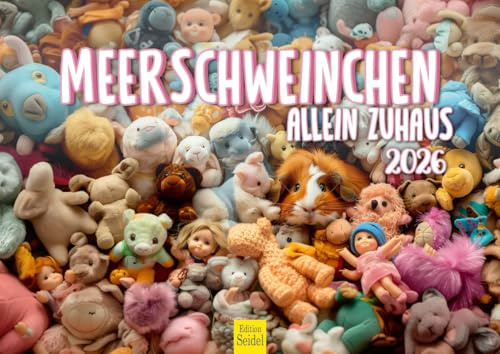 Edition Seidel Premium Kalender Meerschweinchen allein Zuhaus 2026 Format DIN A4 Wandkalender Tierkalender Tiere Haustier Nager