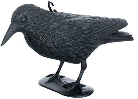 Brandsseller Schwarzer Rabe aus Kunststoff 36 x 20 cm Taubenabwehr Vogelschreck gegen kleine Vögel und Tauben Tierfreundliche Abschreckung - 1 Stück