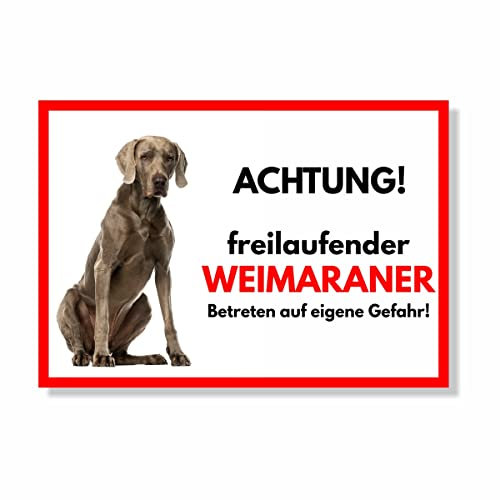 Weimaraner Freilaufender Hund Dog Schild Spruch Türschild Hundeschild Warnschild Geschenkidee Sicherheitsschild Hund Privatgrundstück Hundewarnung Warnung vor dem Hund