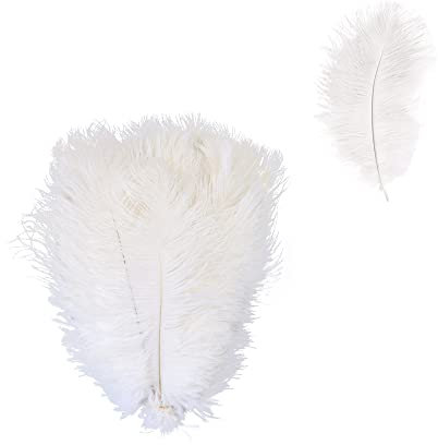 Gotetiso 20 Stück Straußenfedern Weich Federn Weiss 20-25cm Strauß Feder Dekofedern DIY Basteln Zubehör für Hochzeitsdekoration Party Tischdekoration Zuhause Dekor