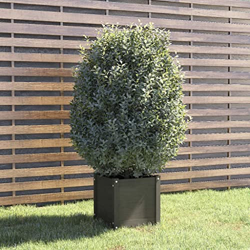 WIFESE Jardinière Surélevée Gris 40x40x40 cm Bois de Pin Massif Pot de Fleurs Suffisamment d'espace Plantes Herbes Légumes Lit Surélevé de Jardin Décorer Balcon Patio Terrasse