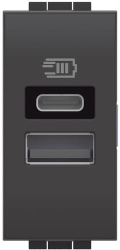Bticino L4191AC Caricatore USB con Due Ingressi Tipo A E C, da Installare nella Placca Livinglight, per Ricaricare un Dispositivo Elettronico Fino a 15W o Due Dispositivi Assieme, 1 Modulo, Antracite