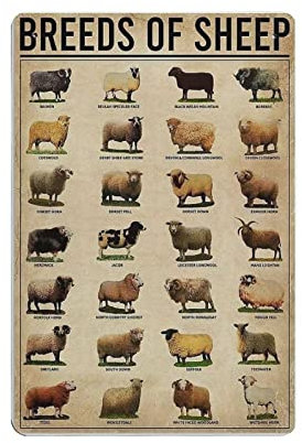 Metall-Blechschild mit Schaf-Wissen, Poster, Vintage-Wandkunst, Dekoration, Kunstdruck, Geschenk für Zuhause, Geschäft, Büro, Garten, Garage, Bar, Outdoor, 30,5 x 20,3 cm