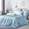 Boqingzhu Bambus Bettwäsche 200×200 cm Blau Himmelblau Sommer Kühlend Doppelbett Luxus Lyocell Seide Bettwäsche Set Bettbezug mit Reißverschluss und 2 Kissenbezüge 80x80cm