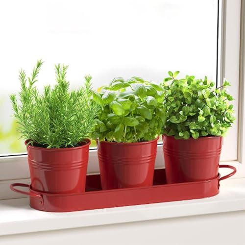 FGXY Set di 3 vasi in metallo con vassoio per erbe aromatiche, Mini Cactus Succulento Vaso, Crepa di Ghiaccio Fiori Piantatore, Per interni, Davanzali e Balconi,Coltiva Le Tue Erbe Per La Cucina-Rosso