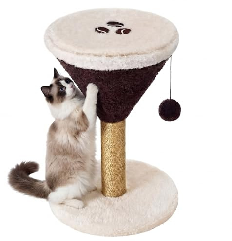 Sosation Espresso Martini Kratzbaum 50.0 cm H Katzenkratzbaum Kratzbaum Kratzbaum mit baumelnder Kugel für Indoor Katzen Kratzbaum für Kätzchen und Mittelgroße Katzen