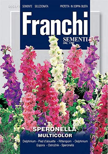Portal Cool Franchi - Fdbf_ 351-1 - Speronella - Thrift Mix - Semi