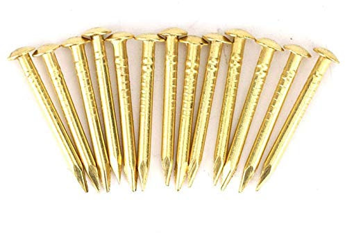 Chiodo in Ottone, 100 Pezzi Chiodi Dorati a Testa Tonda Spilli da Parete in Ottone 10 Mm/15 Mm/18 Mm/22 Mm per Legno, per Appendere la Cornice dello Specchio(Length 18mm)