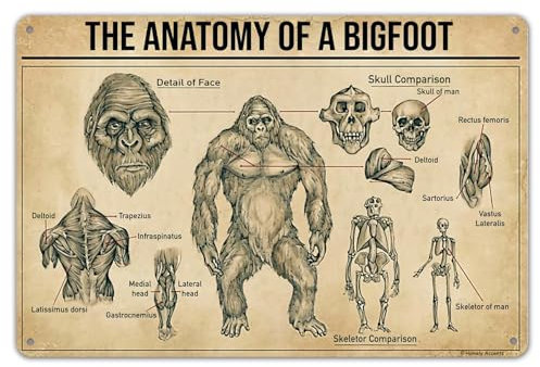 Homely Accents The Anatomy of A Bigfoot Metallschilder, Sasquatch-Poster, Vintage-Blechschilder für Gothic, Zuhause, Club, Bar, Dekoration, rustikale Retro-Monster-Wandkunst, 20,3 x 30,5 cm