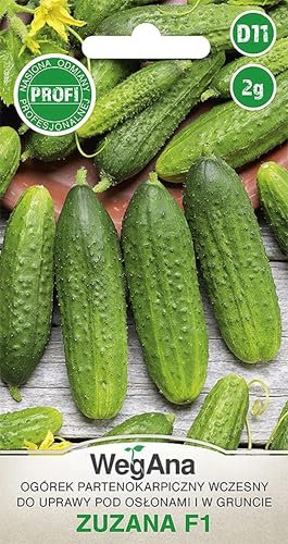 WegAna Freilandgurke Gurke Samen Zuzana Parthenokarpe F1 Frühe Gurke Freiland 2g Robuste Gemüsesamen Gemüse Samen Anzucht Saatgut für Gewächshaus