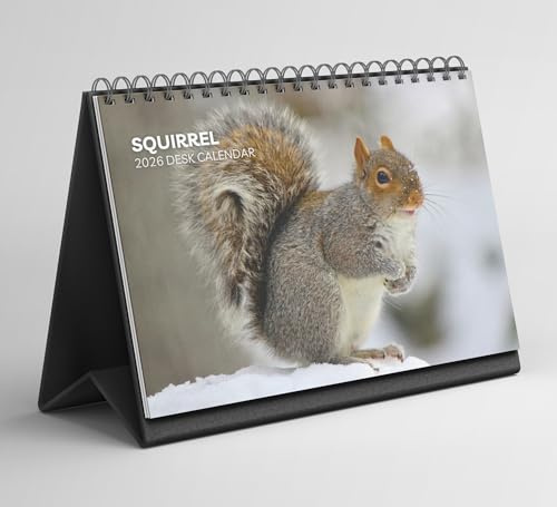 Eichhörnchen-Schreibtischkalender 2026-2027: Stehender Flip-Desktop-Kalender mit dickem Papier (15,25 cm x 22 cm – ähnlich A5)