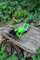 Gwenys Haus Frosch Spanner liegend