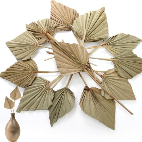 AVLA 12 Pack Dried Palm Leaves, Boho Dried Palm Fans with Stem, Natural Dried Palm Spears, Tropical Dried Leaf Decor for Vase, Bohemian Wedding Flowers Decoration for Party Office Home Wall Decor