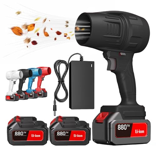 Turbodry Car Dryer, 2024 Upgrade Turbo Dryer Blower for Car, Portable Cordless Design, High Power 4000R/min, 650g High Thrust, for Outdoor Cleaning Fallen Leaves, Snow, Dust Removal (Black*2Battery)