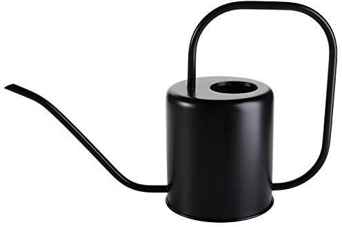 Fasmov 1,4 l Edelstahl-Gießkanne im modernen Stil, Gießkanne mit langem Ausgießer für einfaches Ausgießen, Wasser, Outdoor-Garten, Zimmerpflanze (schwarz)
