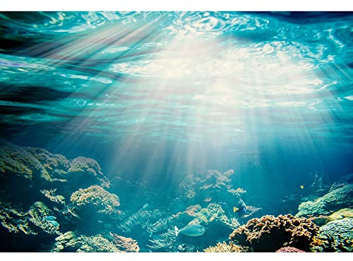 Aoihrraan 2,2x1,5m Underwater World Backdrop Seabed Scene Coral Reef Fishes Sunshine Undersea Seaview Photography Background Aquarium Decoration Fish Tank Marine Themed Party Photo Studio Prop Vinyl