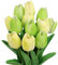 N&T NIETING Künstliche Tulpens, 12 Stück Realistischem Touch Tulpen Blumen, Gefälschte Blumen Tulpen Blumensträuße für Hochzeitsstrauß Party Valentinstag Geburtstag Muttertag Home Deko, Gelb und Grün