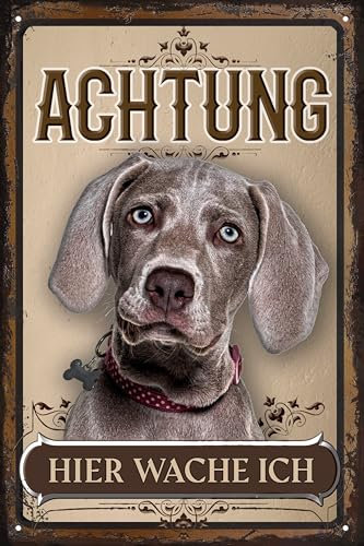 30 x 20 cm wetterfestes Blechschild, Warnhinweis, Torschild, Achtung, hier Wache ich! Warnung vor dem Hund (Münsteraner 2)
