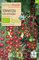 Samen Maier 870 Tomate Zuckertraube (Bio-Tomatensamen)