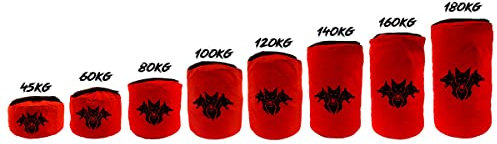 Cerberus Strength Zweilagiger Sandsack (2. Generation) (80 kg)