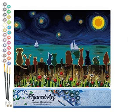 Figured'Art Peinture par Numéro Adulte Nuit étoilée et Animaux de dos - Activité Manuelle Kit de Loisir Créatif DIY Numéro d'art Complet - 40x50cm sans châssis en Bois