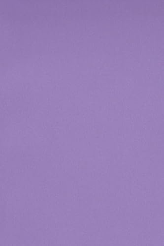 Netuno 50 cartoncini colorati viola formato A3 297 x 420 mm Burano Violet cartoncini stampabili fai da te biglietti da visita augurii bomboniere fogli colorati carta da zucchero