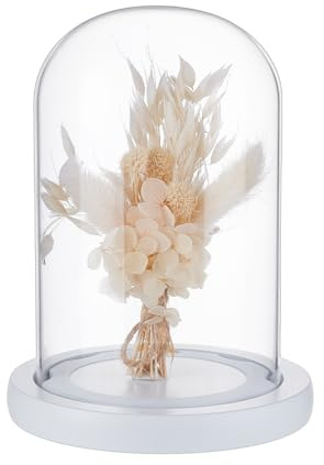 NBEADS kupolklocka av glas, glaskupolskydd för eviga blommor med träbas luddfri design bågklocka glasklocka för bordsdekorationer växter stenar prover dekorationer, 1,25 x 17 cm
