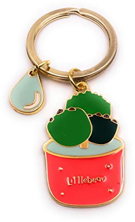 H-Customs Kaktus Kakteen Gewächs Pflanze im Topf Tropfen bunt Gold Schlüsselanhänger Anhänger