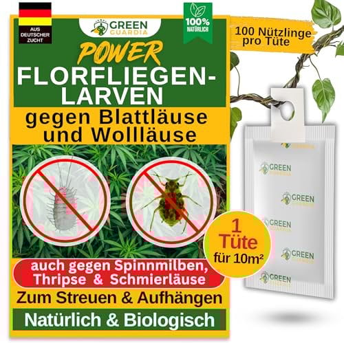 GREEN GUARDIA Power Florfliegenlarven-Eier gegen Blattläuse und Wollläuse – 1 Tüte - Biologisches Mittel zur effektiven Blattläuse und Wollläuse Bekämpfung für Zimmer- und Zierpflanzen uvm.