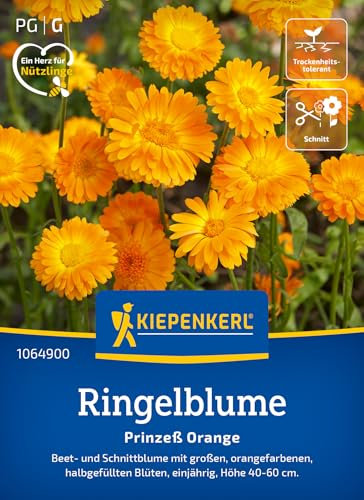 Kiepenkerl Ringelblume Prinzeß Orange 1064900 - einjährige Beet- und Schnittblume mit großen, orangefarbenen Blüten - Wildblumensamen, Blumenwiese, Saatgut