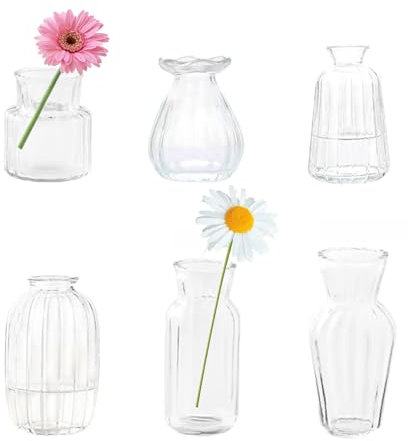 Kleines Glas klare vertikale Streifen Vase Bud Vasen in Bulk EylKoi Set von 6 verschiedenen Formen Vintage Mini Tiny Flower Vasen Modern Cute für Home Table Hochzeit Dekor Mittelstücke Party Esszimmer