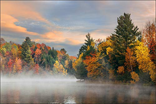 Muralo Fototapete Wald 210 x 315 cm Vlies Tapete Wandtapeten See Nebel Bäume Herbst Wohnzimmer Schlafzimmer Moderne Wandbilder XXL Landschaft Panorama Wand Dekoration