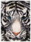 ROCKY&CHAO Latch Hook Rug Kits, DIY Latch Hook Rug, Carpet Making Cushion, Crochet Kits Embroidery Kits Needlework Crafts for Home Decor,Tiger, 50x38cm