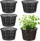 HpLive 5 vasi idroponici a rete da 21 cm, grandi cesti per piante acquatiche, contenitori in plastica per piante da stagno, orchidee da giardino