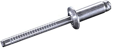 GOEBEL® - 500 x Flachkopf Nieten mit gerilltem Nietdorn Edelstahl A4 (V4A) / Edelstahl A4 (V4A) (Ø x L) 5,0 x 16,0 mm - Flachkopf Blindniete mit gerilltem Nietdorn - Popniete - STANDARD