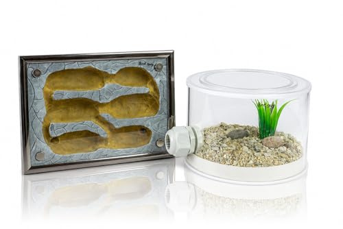 Formicarium Set Ameisennest Ameisenfarm