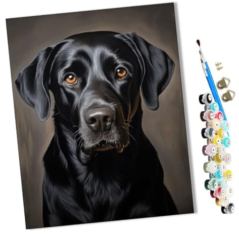 WMZPOY Peinture par Numéro Adulte Bricolage Tableau Peindre par Nombre pour Débutants Jouets à Peindre cadeaux Peints à la chien labrador noir, animal de compagnie (1) Décor à la maison 40x50cm
