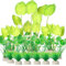 BEGONDIS 15-Piece Lifelike Plastic Aquarium Plants Set, Vibrant Underwater Garden (Light Green)