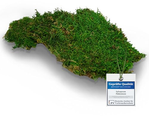 Sphagnum-Shop Plattenmoos konserviert Dekomoos Premium Qualität Grün 750g | Moos für Moosbilder, Moos Deko, DIY Moosmatten oder Moos zum basteln