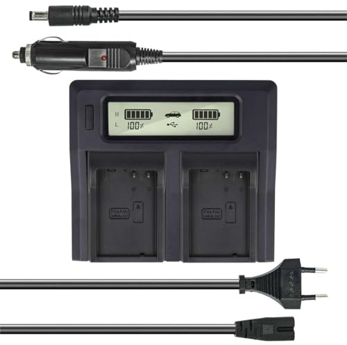 Dual Akku-Ladegerät kompatibel mit Panasonic DMW-BLD10E - mit USB-Anschluss, LCD-Display und Kfz-Ladekabel - Schnellladegerät