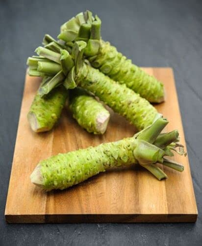 50 Graines de Wasabi, Wasabia japonica, Eutrema japonicum seeds