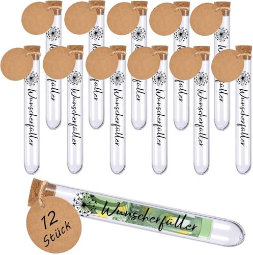Joycabin 12 Stück Wunscherfüller Geldgeschenk, 12 Transparente Reagenzgläser 12 Löwenzahn Transferaufkleber 12 Kraftpapieranhänger, Geldgeschenke für Geburtstag Weihnachten Hochzeit Kommunion