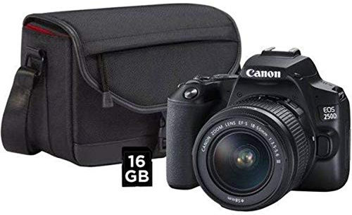 CANON Canon EOS 250D Digital Reflex Camera + 18-55 + Book and SD Card 16GB