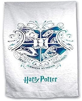Inconnu Gamesland Harry Potter - Serviette de Plage 100% Coton 70x140cm