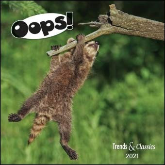Oops! - Kalender 2021 - DuMont-Verlag - Broschurkalender mit Poster und Platz für Eintragungen - 29,8 cm x 29,8 cm (offen 29,8 cm x 59,8 cm)