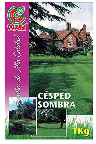 WAM Semillas de Césped SOMBRA para Zonas con Poco Sol. Caja 1 Kg