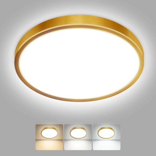 hepside LED Ceiling Light,3000K/4000K/6500K 3 Color Temperature,Waterproof LED Ceiling Lamp, Modern,Round Flush Ceiling Light for Bathroom,Bedroom, Kitchen, HallwayØ22CM(Gold)